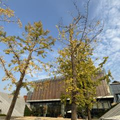 袁姐萝卜饺子(中山路店) User Photo