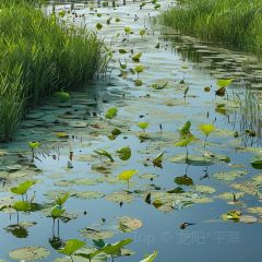 渔味堂南湾鱼三吃(湖东店) User Photo