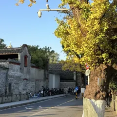 王阿姨梅花糕 User Photo