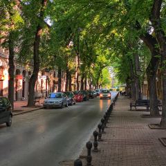 Tresetište Riblji Restoran張用戶圖片