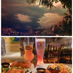 Rainforest Cafe張用戶圖片