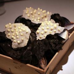 Vollmers張用戶圖片