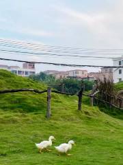 爆米花萌寵樂園（穀倉農場）