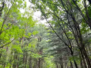 난산 삼림공원