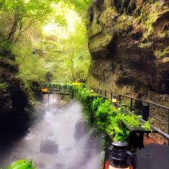 小杭坑2号营地 User Photo