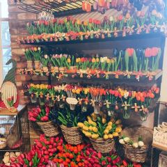 Paula's Pancake House User Photo