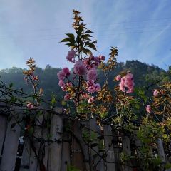 丹寨石桥纸居民宿·百节之乡花园餐厅 User Photo