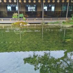 晴溪莊园(湘江店) User Photo