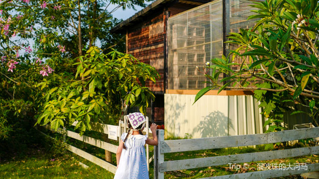 lan tian cheng shi nong chang