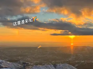 黑蘑菇快餐
