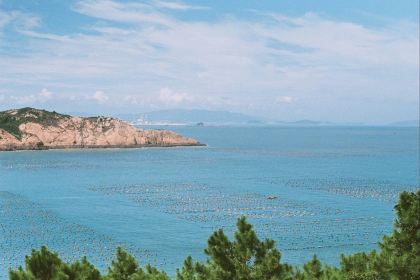 肥婆肥仔海鲜档(霞浦店)