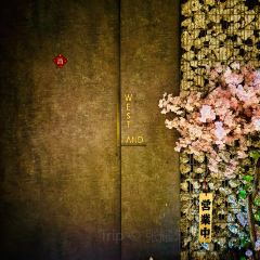 Nonsense Cafe & Bar - Wuchang Branch 여행 사진
