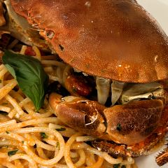 Bull In The Alley User Photo