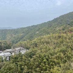 丫山农家乐 User Photo