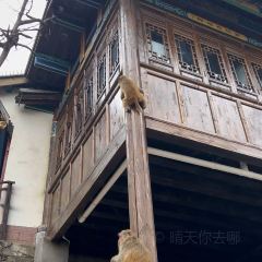 邛海飄香魚館張用戶圖片