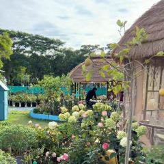 海如的花園張用戶圖片