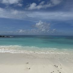 Summore Day User Photo