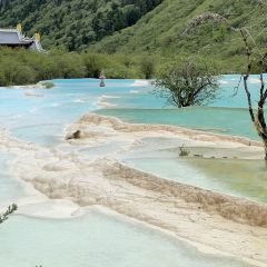 瑟爾嵯國際大酒店中餐廳張用戶圖片
