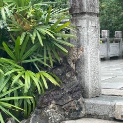 唐沫茶兮(三坊七巷店) User Photo