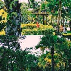 chouburi User Photo