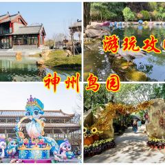 穆彦华逍遥镇胡辣汤(岗坡路店) User Photo