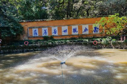 天缘阁素食餐厅