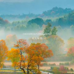 LOBSTER MONSTRE 여행 사진