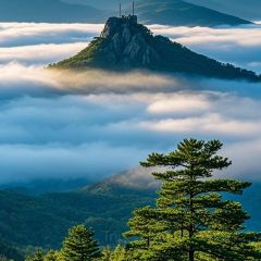 BaiYu Barbecue User Photo