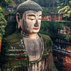 MAO MAO HAN User Photo