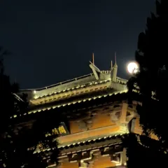 TANG SHANG TANG User Photo