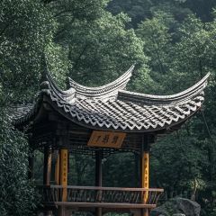 WANG ZHUANG A MI SEAFOOD STALL User Photo