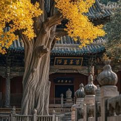 老赵家山西铜火锅烧烤(古城店) User Photo