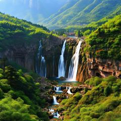 Qin Restaurant User Photo