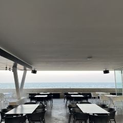 Bar Lotus User Photo