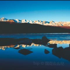 MALAYA TIBETAN RESTAURANT User Photo