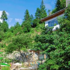 ZAI SHAN YE User Photo