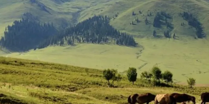 温泉克魯格營地