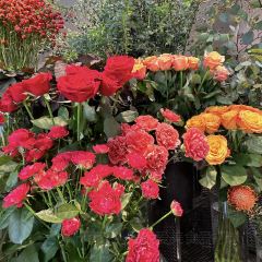 Aoyama Flower Market Green House User Photo