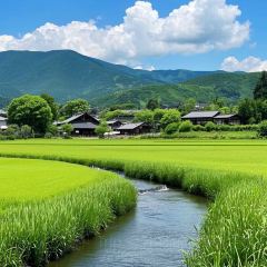 Mountain Restaurant張用戶圖片