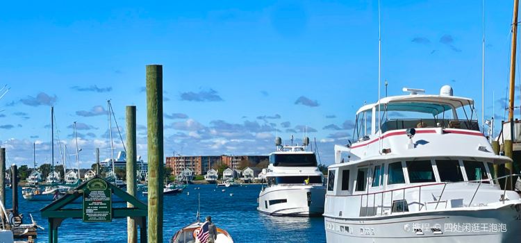 The Mooring Seafood Kitchen & Bar
