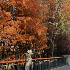 在咖啡INCOFFEE(融侨外滩壹号店) User Photo