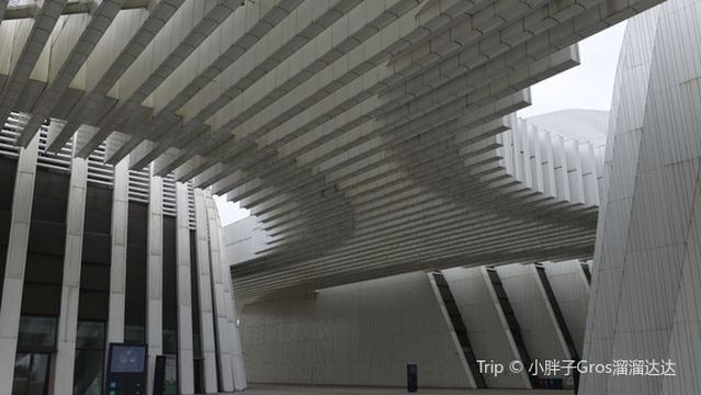 Guangxi Culture and Art Center Grand Theater