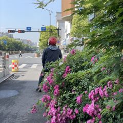 嵊州市西橋米果店張用戶圖片