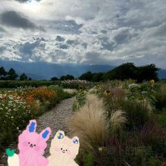 听花谷餐厅 User Photo