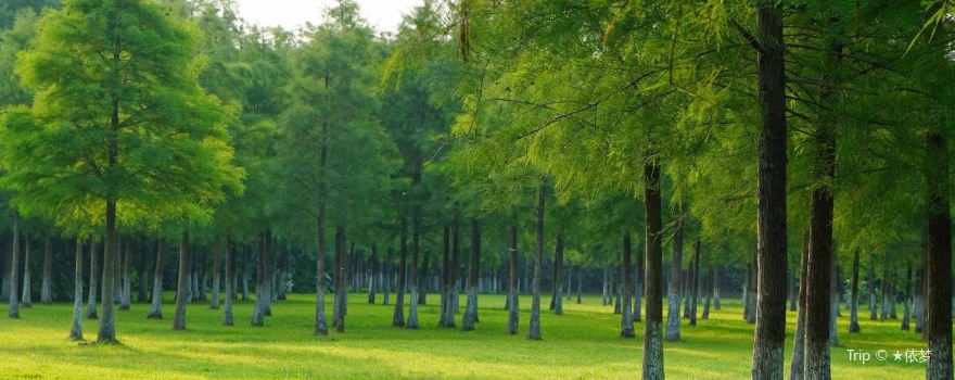 Yanling Wetland