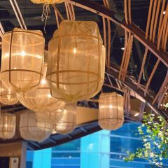 PetitChateau Wine&Bistro User Photo