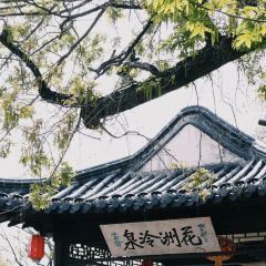 江大小后街張用戶圖片