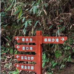 知青小镇 User Photo