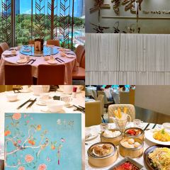 Tsui Hang Village Tsimshatsui User Photo