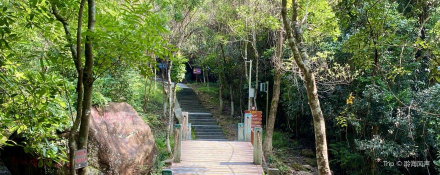Yinping Mountain Forest Park